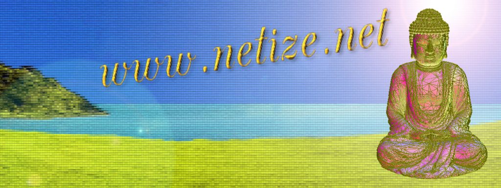 Netizenet_website__FB_banner